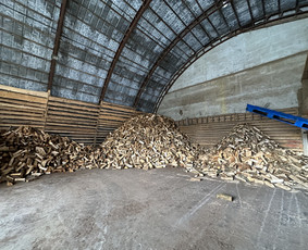 Kokybiškos Lapuočių Malkos, Klaipėda / Vitalijus / Darbų pavyzdys ID 4178349
