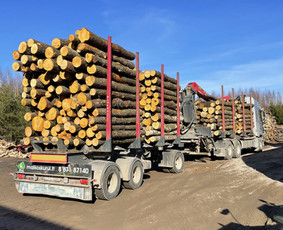 Kokybiškos Lapuočių Malkos, Klaipėda / Vitalijus / Darbų pavyzdys ID 4178401
