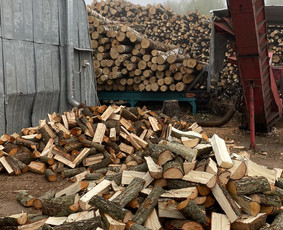 Kokybiškos Lapuočių Malkos, Klaipėda / Vitalijus / Darbų pavyzdys ID 4178407
