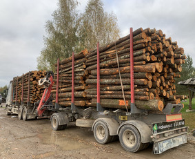 Kokybiškos Lapuočių Malkos, Klaipėda / Vitalijus / Darbų pavyzdys ID 4178471