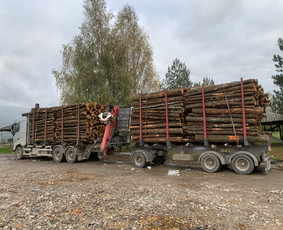 Kokybiškos Lapuočių Malkos, Klaipėda / Vitalijus / Darbų pavyzdys ID 4178475