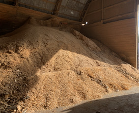 Kokybiškos Lapuočių Malkos, Klaipėda / Vitalijus / Darbų pavyzdys ID 4178483