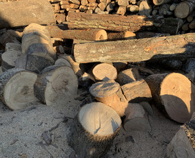 Kokybiškos Lapuočių Malkos, Klaipėda / Vitalijus / Darbų pavyzdys ID 4178491