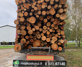 Kokybiškos Lapuočių Malkos, Klaipėda / Vitalijus / Darbų pavyzdys ID 4178477