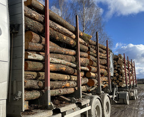 Kokybiškos Lapuočių Malkos, Klaipėda / Vitalijus / Darbų pavyzdys ID 4178429