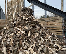 Kokybiškos Lapuočių Malkos, Klaipėda / Vitalijus / Darbų pavyzdys ID 4178363