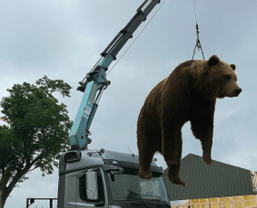 Fiskaro nuoma - Fiskaro/manipuliatoriaus/krano nuoma krovinių pervežimas - 1