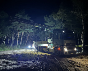 Fiskaro/manipuliatoriaus/krano nuoma krovinių pervežimas / Vitalijus / Darbų pavyzdys ID 4178713