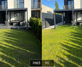 Nuotraukų koliažų kūrimas - Profesionalios Photoshop Paslaugos - Grafinis Dizainas - 1