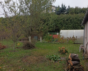 Kelmų naikinimas, frezavimas - Medžių genėjimas - 2