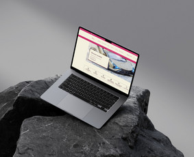 Interneto svetainių kūrimas - React / Wordpress / Shopify / El. Parduotuvės ir svetainės - 1