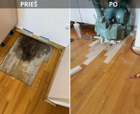 Parketo, parketlenčių klojimas - Grindų šlifavimas,lakavimas.alyvavimas.remontas - 1