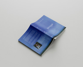 Marškinėlių dizaino kūrimas - Grafinis dizainas/ Photoshop paslaugos - 3