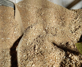 Malkos: gamyba, pristatymas - Sausos kietmedžio pjuvenos didmašuose - 2