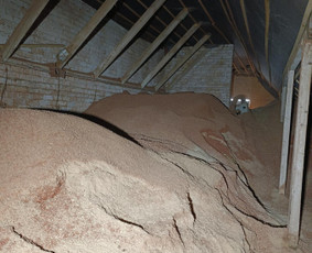 Malkos: gamyba, pristatymas - Sausos kietmedžio pjuvenos didmašuose - 3