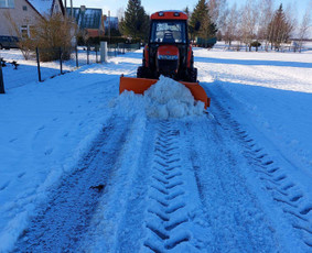 Aplinka, sodas - Sniego valymas, Aplinkos tvarkymas - 1