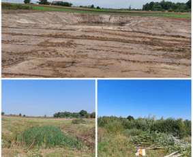 Aplinka, sodas - Sniego valymas, Aplinkos tvarkymas - 3