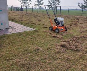 Aplinka, sodas - Sniego valymas, Aplinkos tvarkymas - 2