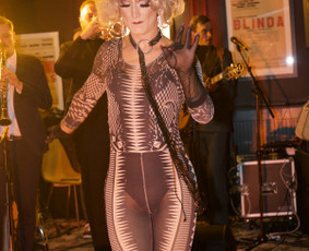 Gimtadienių, jubiliejų vedimas - Renginių organizatorė ir vedėja, drag karalienė - 1