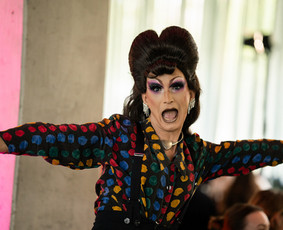 Renginių vedėja, drag karalienė / Miss Plastica / Darbų pavyzdys ID 4182613