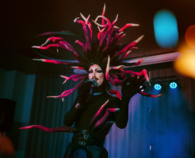 Viešųjų renginių vedimas - Renginių organizatorė ir vedėja, drag karalienė - 2