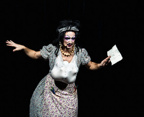 Renginių vedėja, drag karalienė / Miss Plastica / Darbų pavyzdys ID 4182639