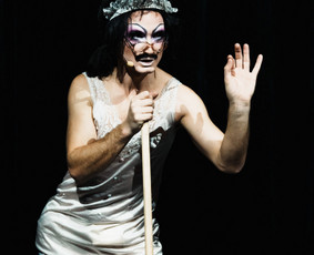 Viešųjų renginių vedimas - Renginių organizatorė ir vedėja, drag karalienė - 4