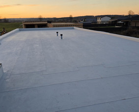 Plokščių Stogų Dengimas Pvc, Epdm ir bitumine Danga / Tvirti stogai / Darbų pavyzdys ID 4183009