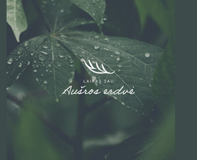 Internetas, IT - Strateginis vizualinis idenitetas Logotipų kūrimas - 2