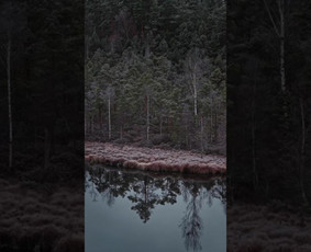 Paslaugos verslui - Nekilnojamojo turto fotografija, video ir dronai - 3