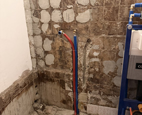 Santechnika. / Donatas Šiaudžionis / Darbų pavyzdys ID 4183921