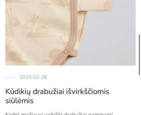 Straipsnių rašymas - Įtaigių, kūrybiškų tekstų rašymas - 3