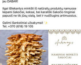 Produktų aprašymų rašymas - Įtaigių, kūrybiškų tekstų rašymas - 1