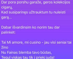 Kitos paslaugos renginiams - Asmeninė eiliuota Jaunųjų, Jubilijato istorija - 3