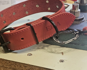 Antkakliai su vardu - Rankų darbo aksesuarai augintiniams - 2