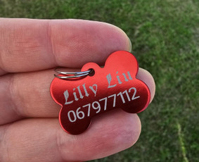 Antkakliai su vardu - Rankų darbo aksesuarai augintiniams - 4