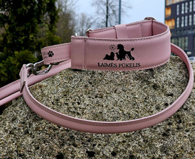 Rankų darbo aksesuarai augintiniams / Vilko runa / Darbų pavyzdys ID 4184617