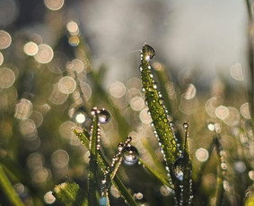 Kognityvinė elgesio terapija - Psichologinis konsultavimas - 1