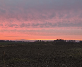 Sveikata, gydymas - Psichologinis konsultavimas - 1