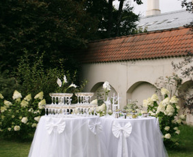 Įvairios paslaugos vestuvėms - Šampano staliukas - 1