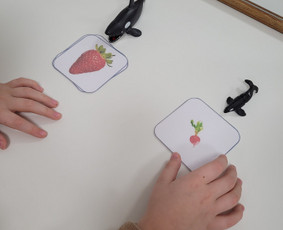 Logopedai - Logopedė Ieva - 2