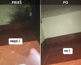 Buitinės paslaugos - Pelėsio Ir Jo Grybo Naikinimo Paslaugos - 2