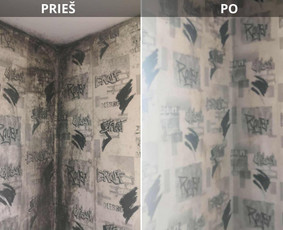 Buitinės paslaugos - Pelėsio Ir Jo Grybo Naikinimo Paslaugos - 1