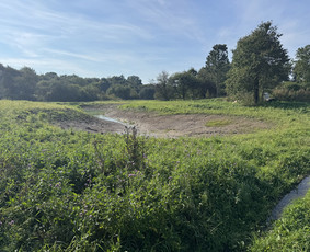 Kitos kategorijos - Sodybų Ir Vienkiemių Pirkimas–pardavimas Dokumentų Tvarkymas - 4