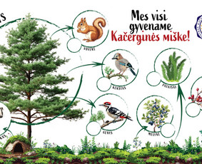 Grafikos dizaineriai - Maketavimo paslaugos - 3