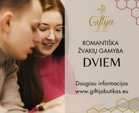 Magiškos edukacijos ir lietuviško, gryno bičių vaško žvakės / Giftija Butikas / Darbų pavyzdys ID 4186761
