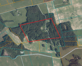 Kitos kategorijos - Nekilnojamojo turto brokeris - 4