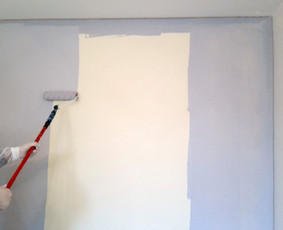 Sienų dažymas - Lauko ir vidaus apdailos darbai - 3