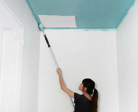 Lubų dažymas - Lauko ir vidaus apdailos darbai - 2