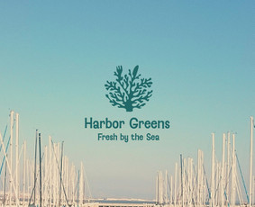 Grafikos dizaineriai - Vizualinis identitetas Logotipų kūrimas - 3